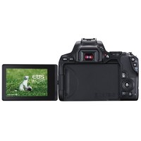 Canon 佳能 EOS 入門級半畫幅數碼單反相機 [女神相機]250D二代(200D II同款)黑色 單機身 原盒