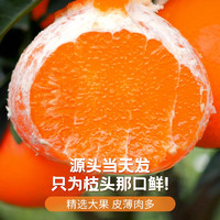 爱媛38号果冻橙橙子新鲜水果整箱当季橘子2斤大果特产四川甜橙脐