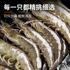 漁游記 YUYOUJI）國產青島大蝦