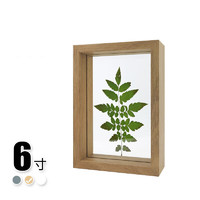 quatrefoil 透明木質雙面玻璃相框植物標本立體畫框 原木色6寸