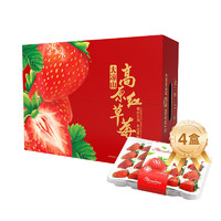 勿语 大凉山高山露天种植农家草莓   4盒礼盒装 （净重2.3斤 单果12克+  ）