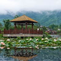 相当于住一送一，选别墅房型更香！长兴景澜富硒山居酒店 杜鹃/观荷/听竹房 2晚连住（含2大2小早餐+欢迎水果+迷你吧）