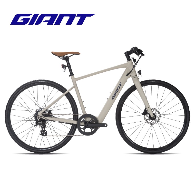 捷安特（GIANT） FASTROAD E+油压碟刹8速智能公路电动自行车 高级灰 M 适合身高175-185cm