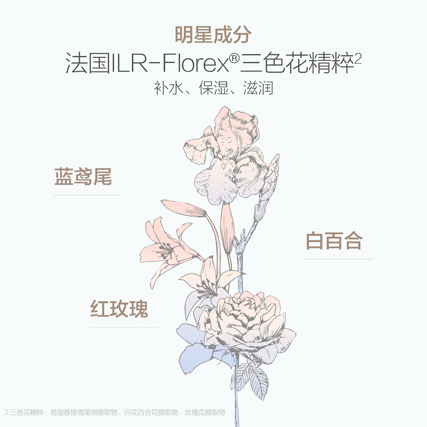 Ellebebe 嗳乐蓓贝 星品洗护体验礼 小云朵面霜5g+沐浴露10ml