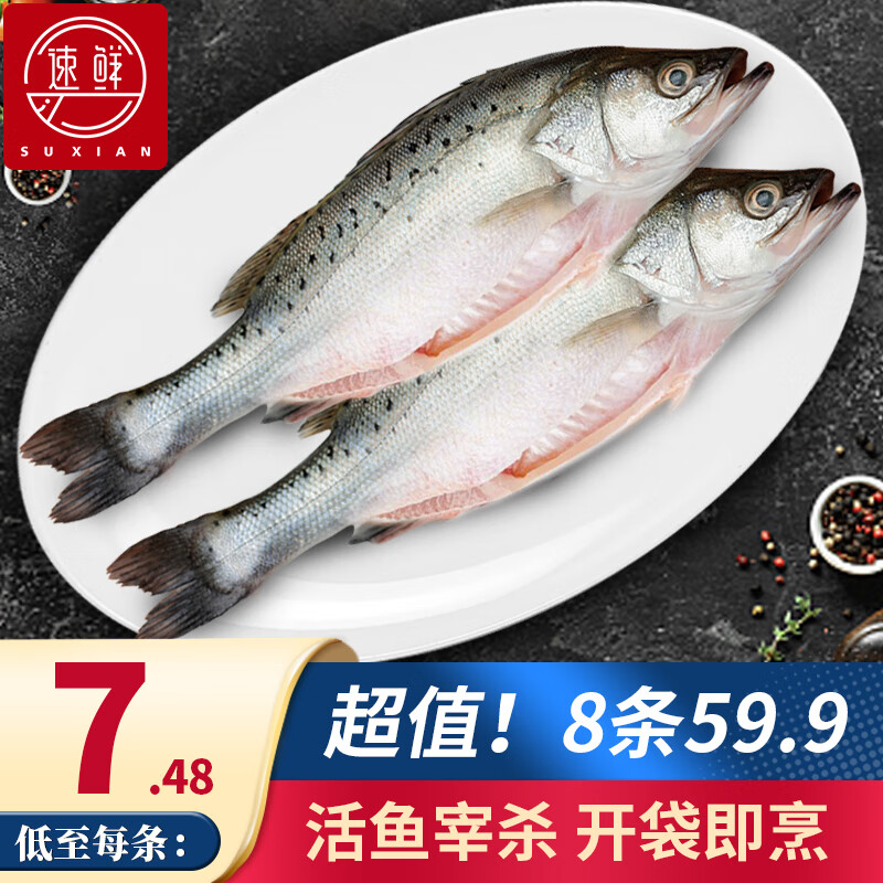 三去白蕉海鲈鱼 净重250g*4份  共8条
