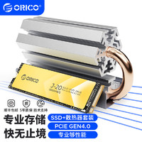 奥睿科（ORICO）固态硬盘SSD M.2接口NVMe协议PCIe4.0×4台式电脑笔记本 【J20散热解决套装】SSD+轮式散热器-18℃ 1TB