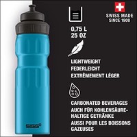 SIGG 希格 瑞士原产进口户外旅行健身骑行水壶8439.60 蓝色 750ml