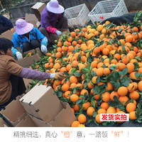 江西赣南脐橙新鲜10斤冰糖甜剥橙子当季水果赣州特产地