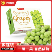 Joy Tree 欢乐果园 阳光玫瑰葡萄 香印青提 甄选2.5kg礼盒装 3-4串/箱 生鲜水果