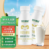 华农原实羊酸奶益生菌发酵乳新鲜羊酸奶236g*10瓶（低温产品只发广东省）