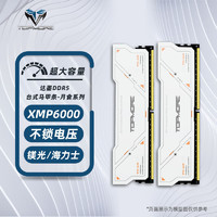 TOPMORE 达墨 内存条套装 马甲条DDR5 6000 32GB（16GB*2 ）