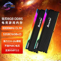 SK hynix 海力士 新乐士（SAMNIX）台式机内存条 32GB(16GBx2)DDR5 8000Mhz C38 黑色 RGB灯条 海力士A-die 狂刃战士电竞游戏