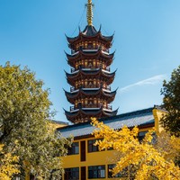 金陵赏秋趣，近玄武湖、鸡鸣寺！南京苏宁索菲特银河大酒店 高级大床房1晚套餐（含行政酒廊下午茶+行政酒廊欢乐时光）