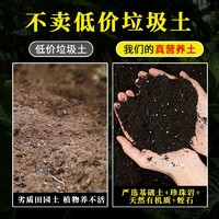 TIANWO 甜沃 通用型种花家用营养土 2斤