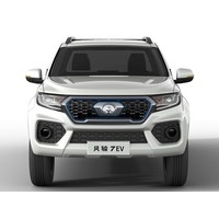 Great Wall Motors 长城汽车 风骏新能源