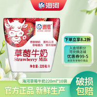 海河牛奶天津海河牛角包营养早餐奶风味奶 海河牛奶草莓味220ml*10包