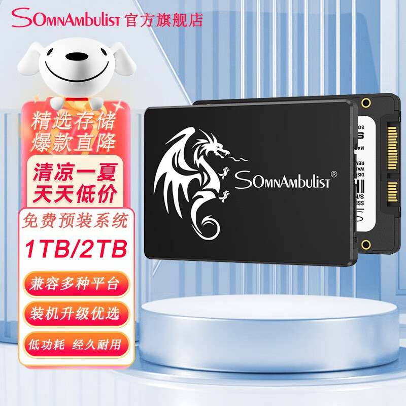 SomnAmbulist SSD固态硬盘sata ssd接口高速电脑笔记本台式硬盘 1T 2TB 960GB标配版【三年 只换不修 不带配件】
