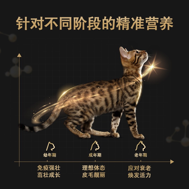 冠能主食罐补水猫罐头泌尿利尿补充营养汤罐湿粮猫咪零食3罐