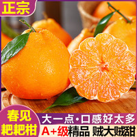 知鲜湾桔子春见耙耙柑粑粑柑丑橘子应季时令新鲜水果当季整箱大果5斤装