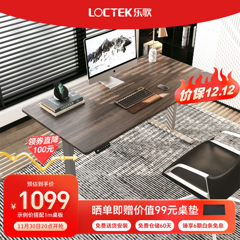 Loctek 乐歌 电动升降桌智能电脑桌简约工作站立办公家用书桌台式电脑桌子E2 银灰桌腿+灰木 1.2*0.6m