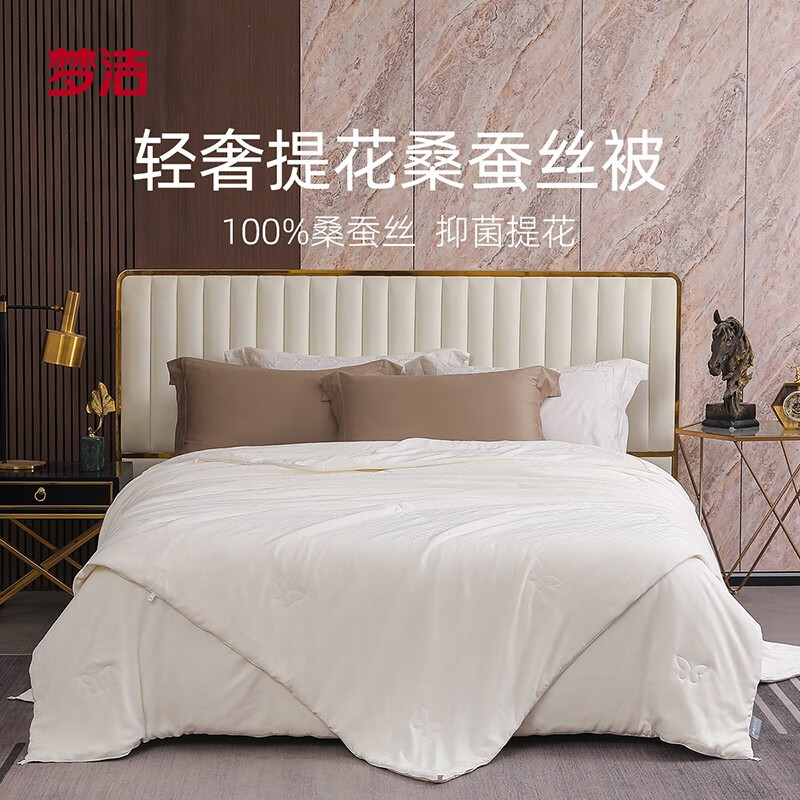 梦洁家纺 桑蚕丝被100%纯蚕丝春秋被四季通用单双人被芯 岚风纯桑蚕丝