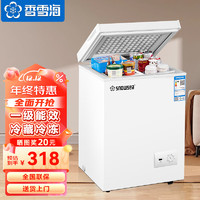 香雪海 小冰柜单温家用冷冻保鲜迷你冷藏商用卧式冷柜 45S108