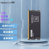 Team 十铨 科技（Team）DDR5 16GB 0 5600笔记本电脑内存条 十铨开创者 16G DDR5 0单条C46