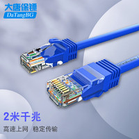 datangbg 大唐保镖 超五类双绞 网络连接线 网线 超5类网络2米跳线 DT2808-502