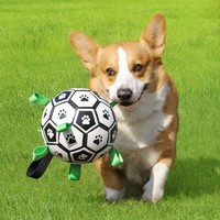 Hoopet 耐咬狗狗玩具 趣味互動足球S