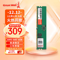 长城 (Great Wall) 16GB DDR5 5600MHz 台式机内存条