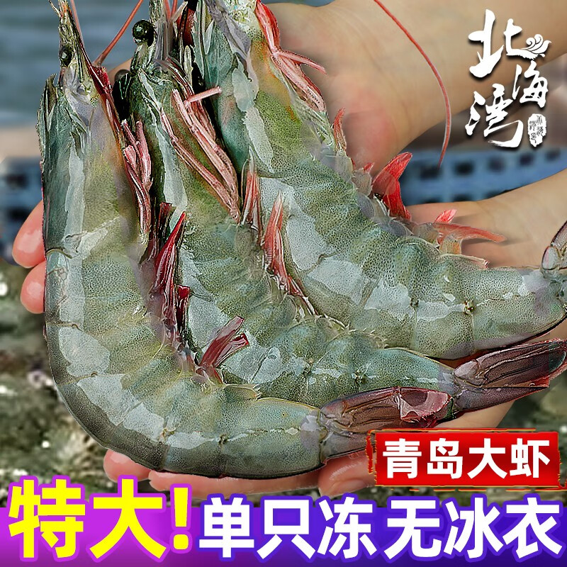 北海湾 青岛大虾 11-14cm 净重3斤