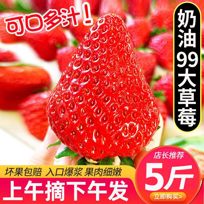 梦芷 红颜99草莓奶油九九非丹东 红颜99草莓 甄选带箱6斤