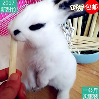 咪貝萌 兔子磨牙甜竹專用磨牙棒寵物兔零食倉鼠龍貓磨牙木玩具1公斤包郵