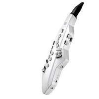 Roland 羅蘭 Aerophone GO電吹管 AE-05C