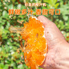 88VIP：誉福园 秭归脐橙3斤装一级果三峡新鲜橙子当季手剥甜橙新鲜应季水果