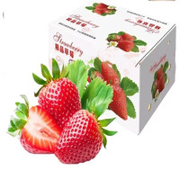 栀舒四川大凉山露天甜草莓新鲜应季水果 5斤1件 精品奶油草莓 5斤装 单果15-20克
