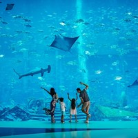 爆款来了，含水世界水族馆畅玩！三亚亚特兰蒂斯酒店 海景大床房/双床房2晚连住套餐（含双早+2大2小水世界水族馆畅玩+双人C秀观演门票）