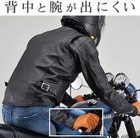 Daytona 摩托车用 皮革 夹克 L码(男士) 黑色 春秋冬 单骑行夹克