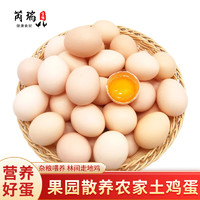 芮瑞 农家散养土鸡蛋鲜鸡蛋柴鸡蛋初生蛋 8枚