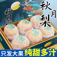 鲜宴 秋月梨 梨子新鲜水果中秋礼盒团购 带箱5斤单果250g+