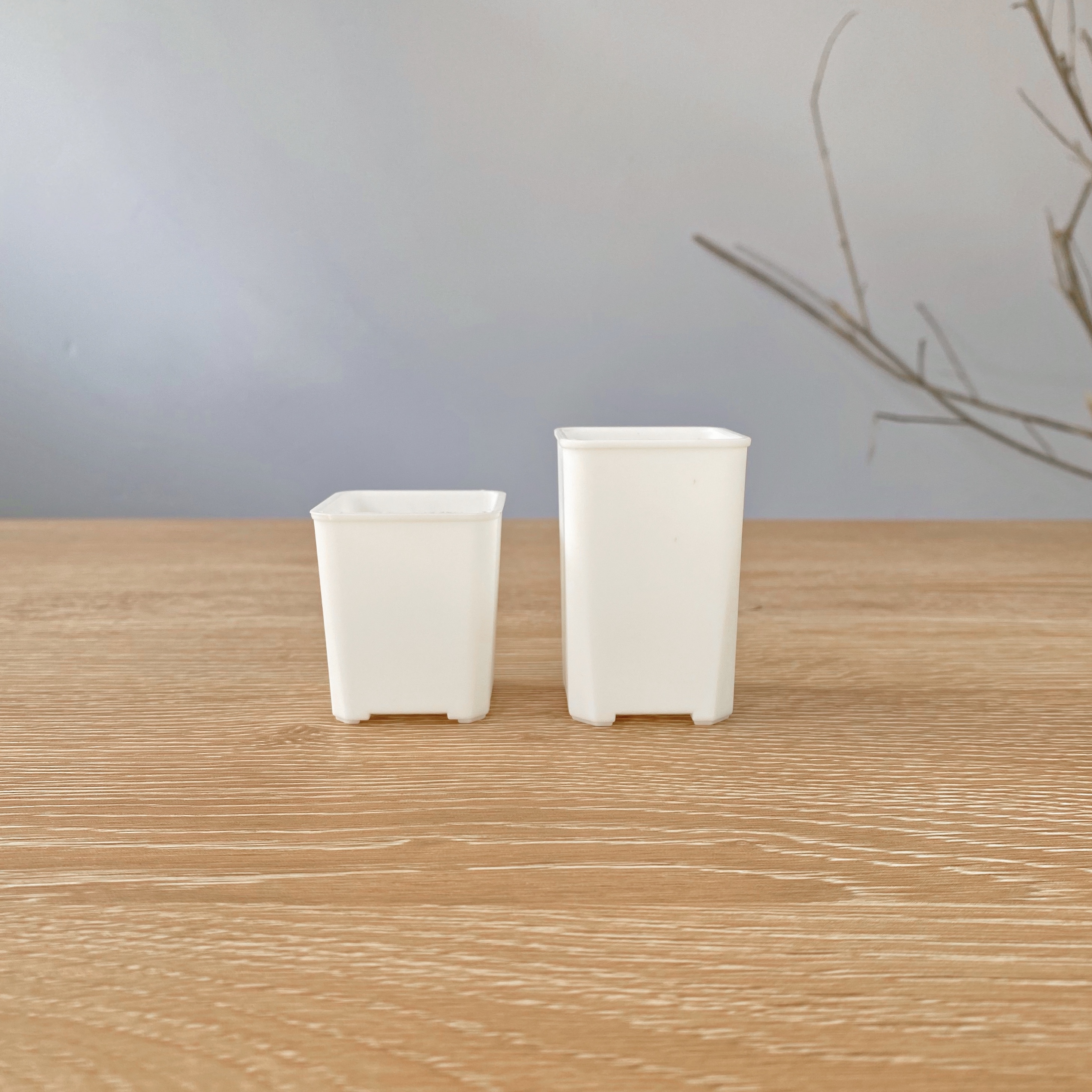 3.5口高盆 暖白色迷你多肉小花盆塑料拇指多肉盆生石花肉锥盆