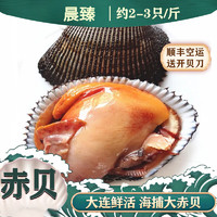 晨臻生鲜 鲜活赤贝超大新鲜毛蚶3斤血蛤蜊赤贝肉日料刺身大连海鲜 鲜活大赤贝*3斤
