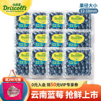 怡颗莓 当季云南蓝莓14mm+ 国产蓝莓125g*12盒