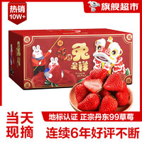 丹东草莓99红颜奶油草莓 水果礼盒 新鲜水果 空运直达 2斤头茬大果单果20g-30g