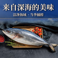 星河灣 海鮮禮盒大魚禮盒卡券 凈重10斤真鱈魚