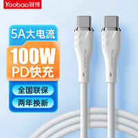 Yoobao 羽博 Type-C數據線雙頭PD100W 冰霜銀