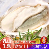 蜀皇 生鮮乳山生蠔凈重5斤超大190-240g/只生鮮海鮮