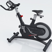 KANBQIANG 康强 动感单车健身房专用后置飞轮商用s-80