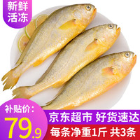 大黄花鱼3斤 共3条 福建活冻大黄鱼生鲜冷冻鱼类轻食 1.5kg