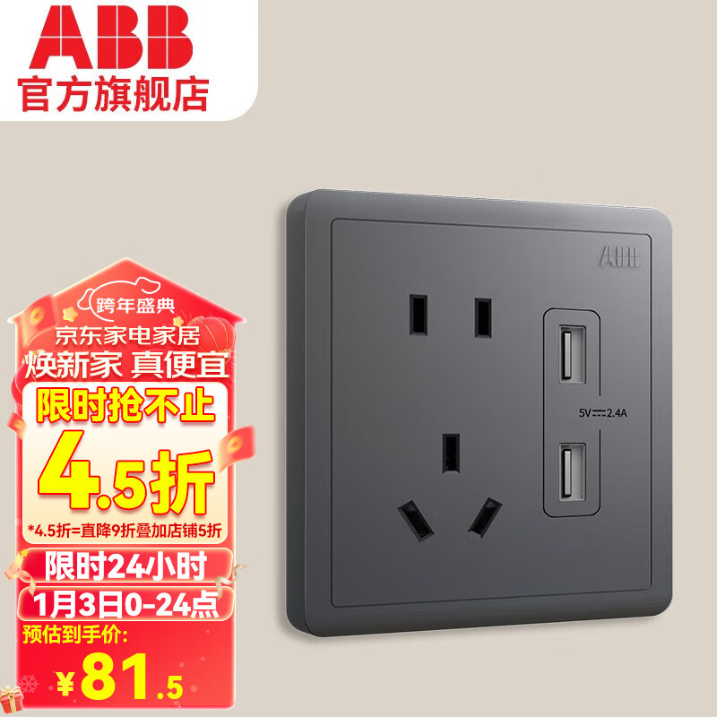 ABB 远致系列 灰色五孔带双USB